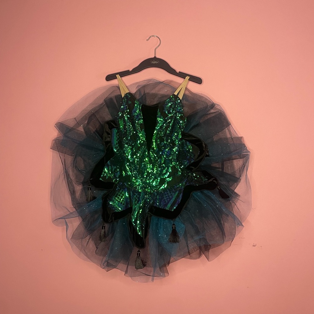 Sparkly green and blue ballet tutu. Perfect shape. Lightly worn.